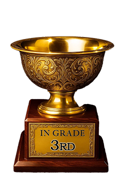 In-Grade Badge Level 3